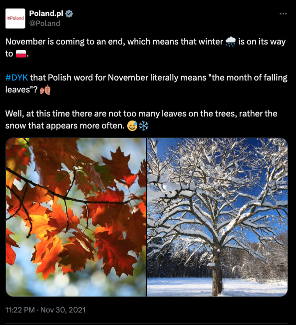 poland-twitter