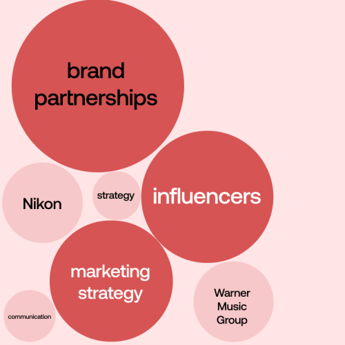 4 Examples Of Innovative Brand Partnerships with Influencers